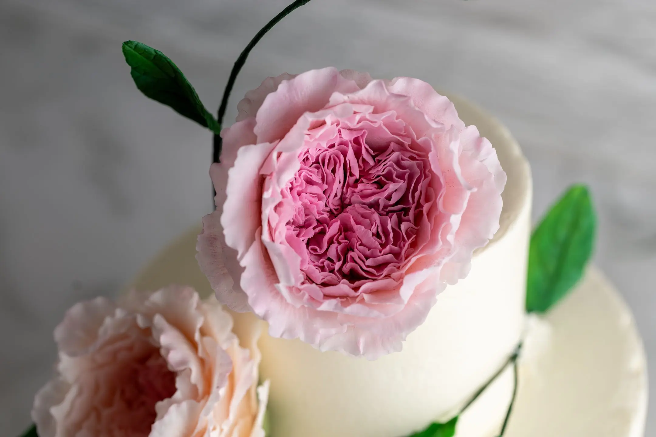 Custom Cakes Toronto | Luxury Cake Atelier | Sucré